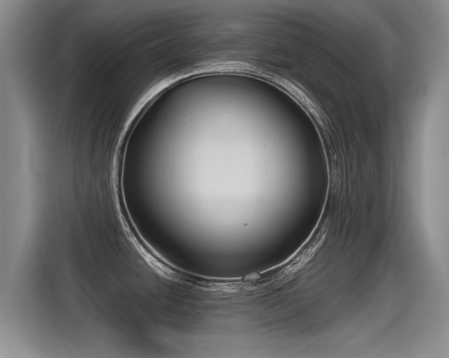 X0000115281438200911061319