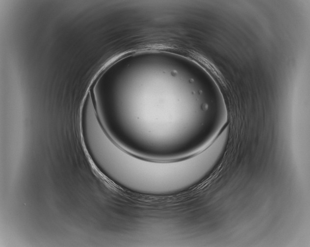 X0000115281439200911061319