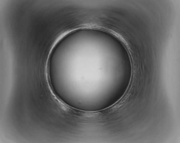 X0000115281440200911061319