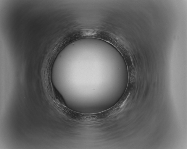X0000115281441200911061318