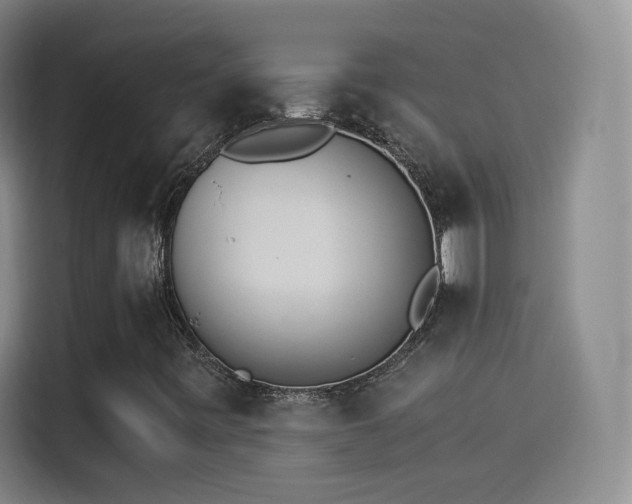 X0000115281443200911061318