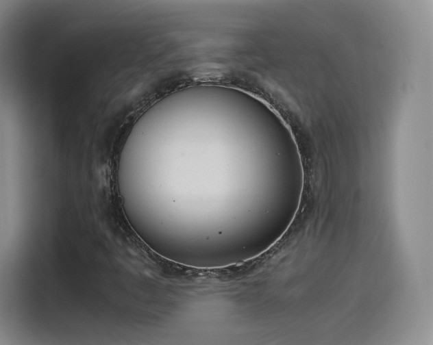 X0000115281445200911061318
