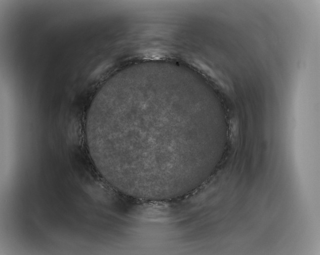 X0000115281446200911061318