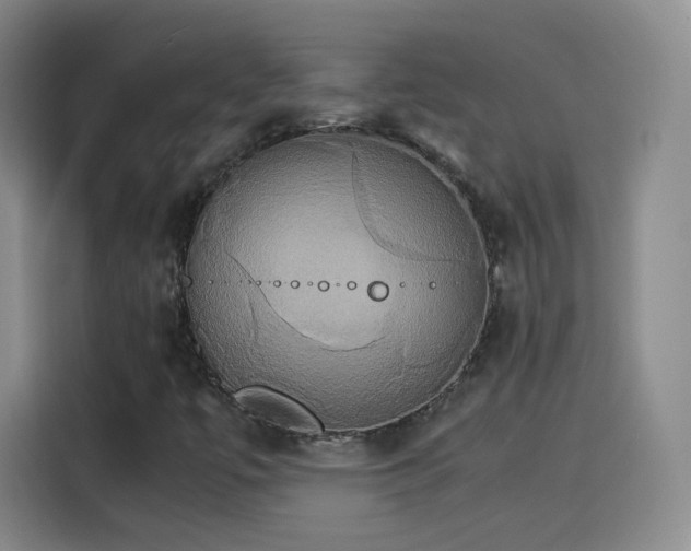 X0000115281447200911061318
