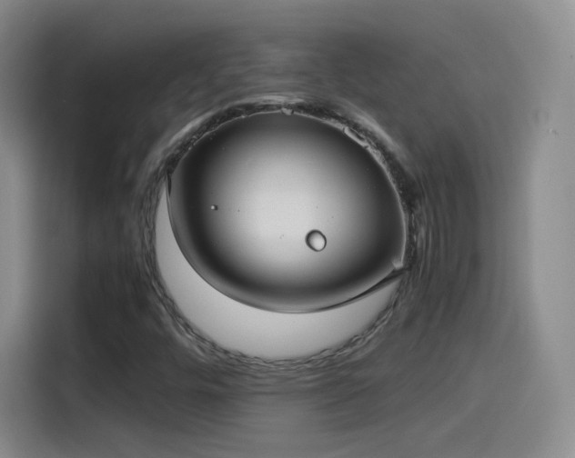 X0000115281448200911061318