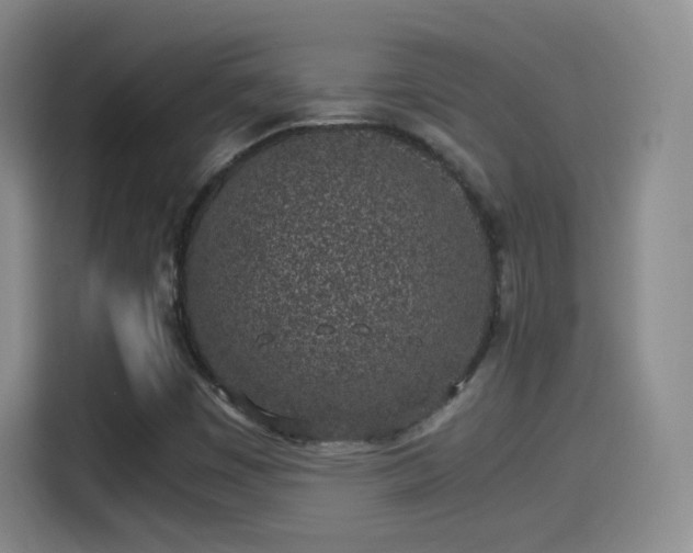 X0000115281449200911061318