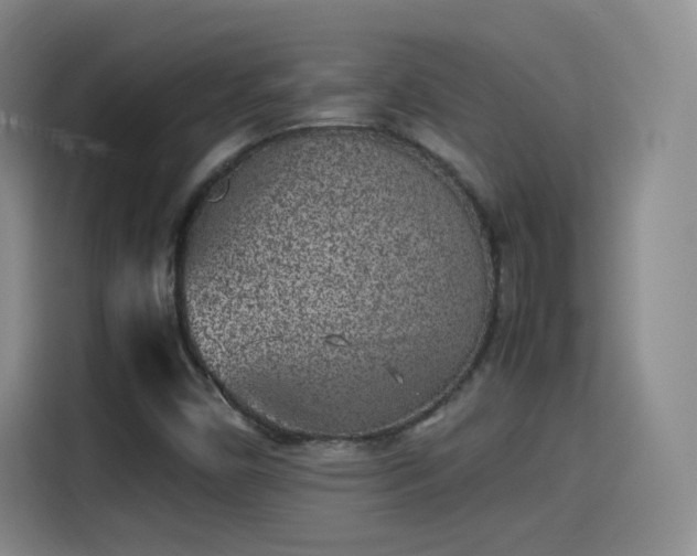 X0000115281450200911061318