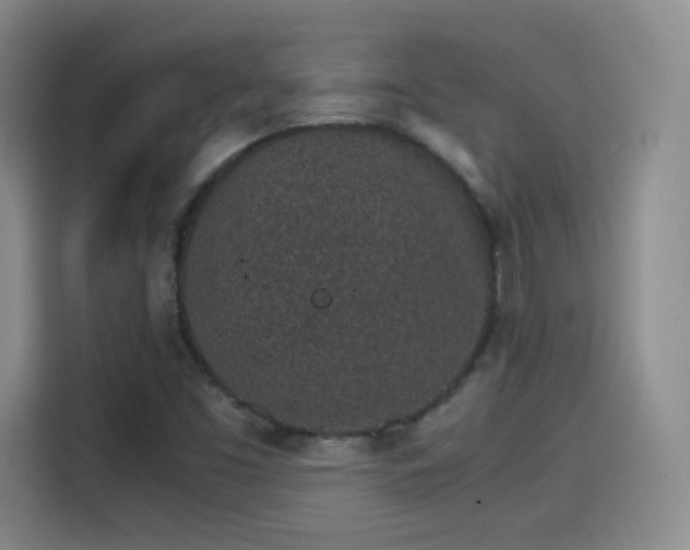 X0000115281453200911061318
