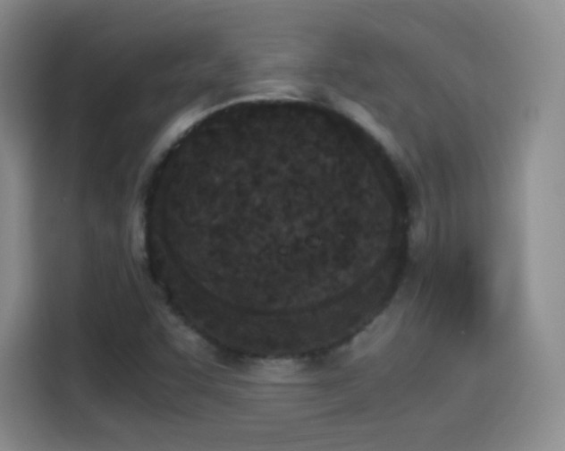 X0000115281455200911061318