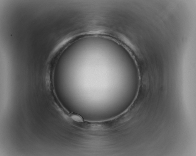 X0000115281456200911061318