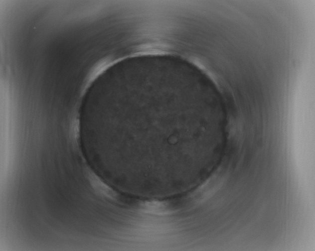 X0000115281459200911061318