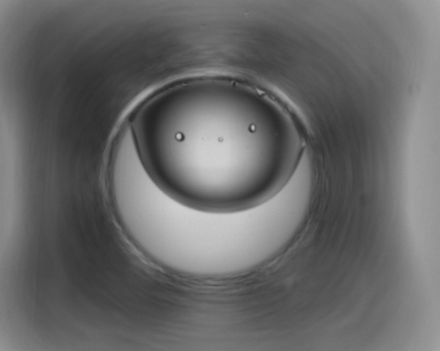 X0000115281460200911061318