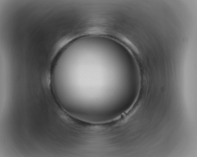 X0000115281461200911061318