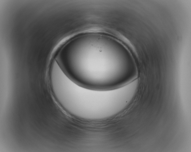 X0000115281464200911061318