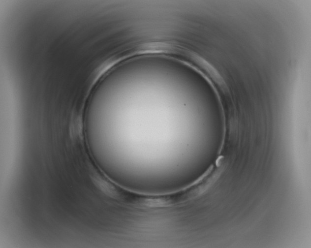 X0000115281465200911061318