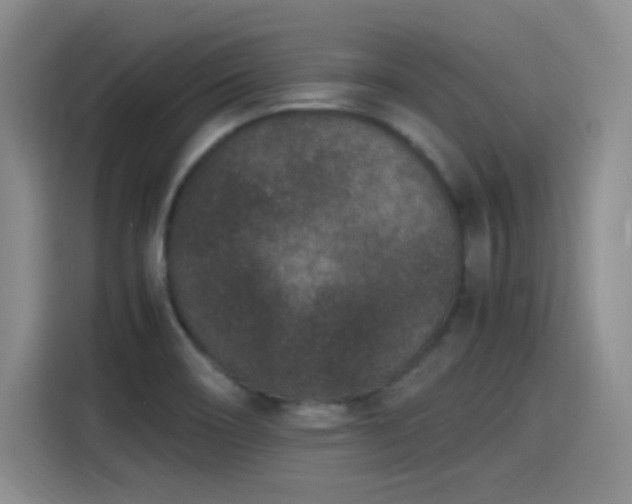 X0000115281466200911061318