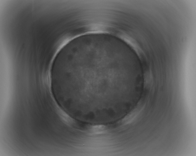 X0000115281467200911061318