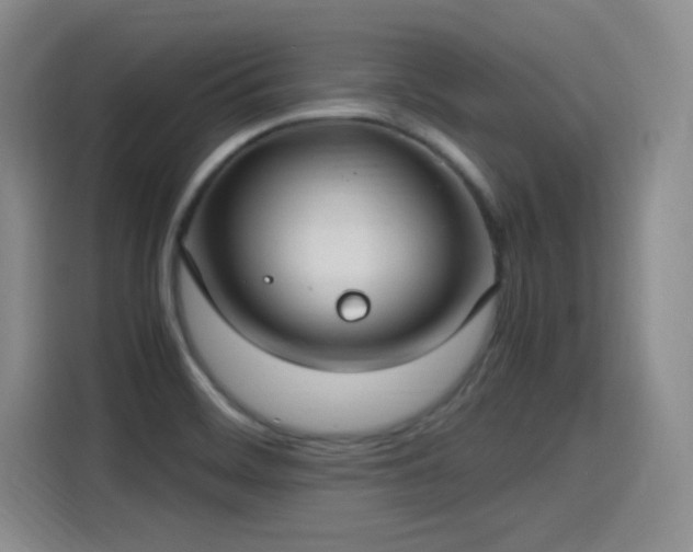 X0000115281468200911061318