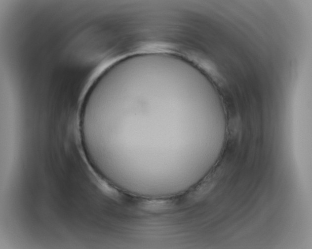 X0000115281470200911061318