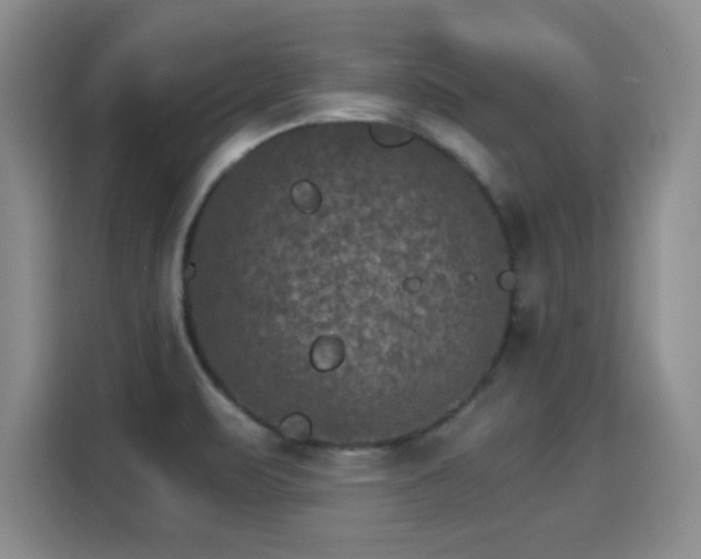 X0000115281471200911061318