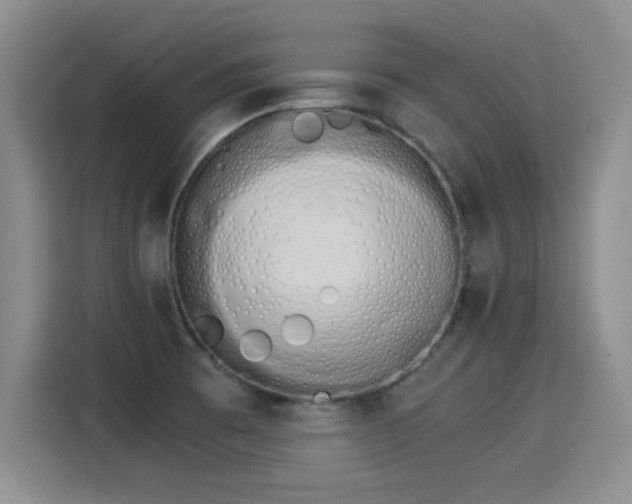 X0000115281473200911061318