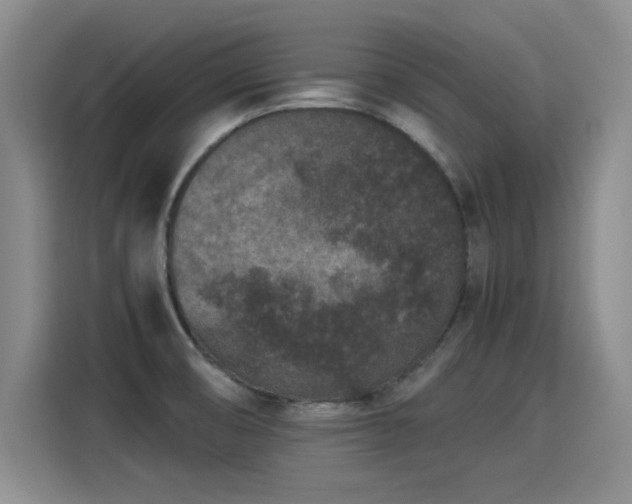 X0000115281474200911061318