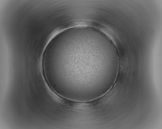 X0000115281475200911061318