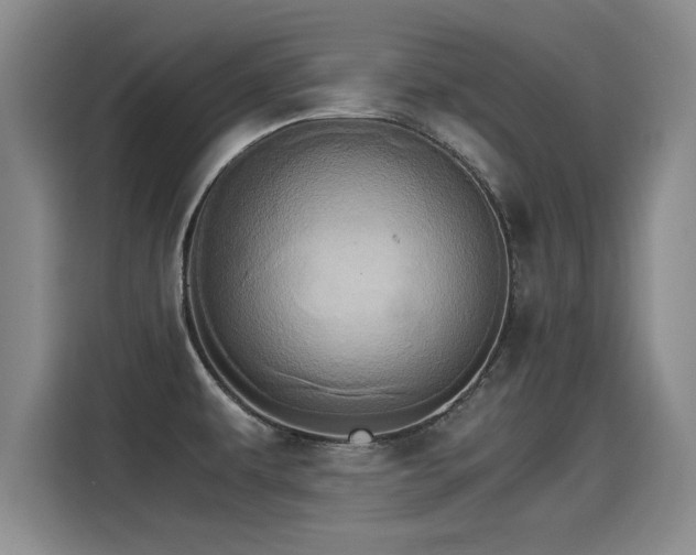 X0000115281479200911061318