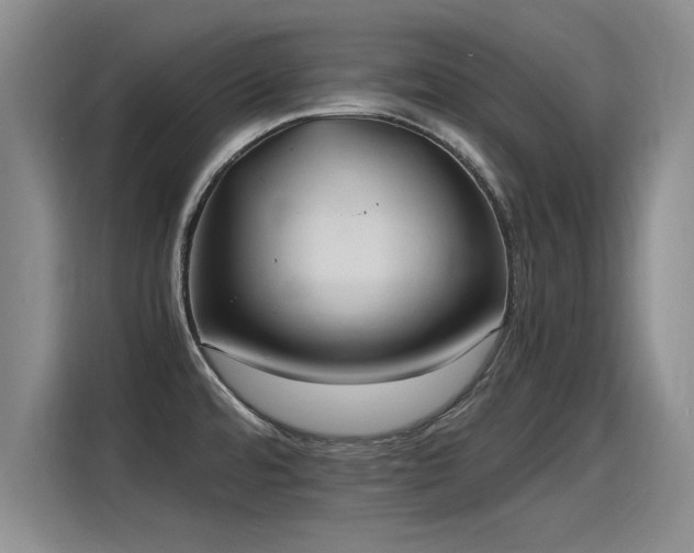 X0000115281480200911061318