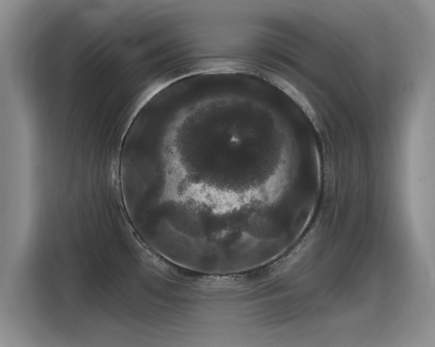 X0000115281481200911061318