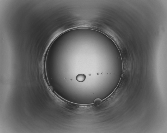 X0000115281483200911061318