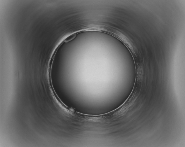 X0000115281484200911061318