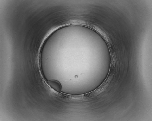 X0000115281486200911061318
