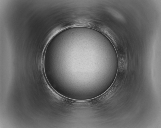 X0000115281487200911061318