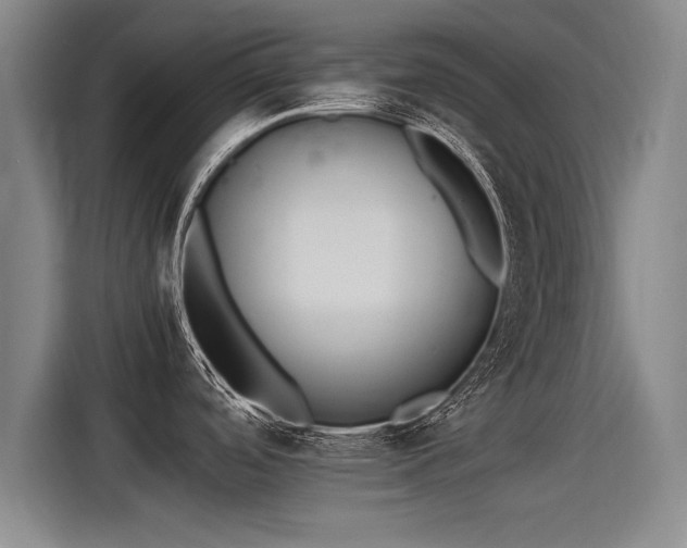 X0000115281488200911061318