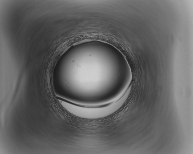 X0000115281489200911061317