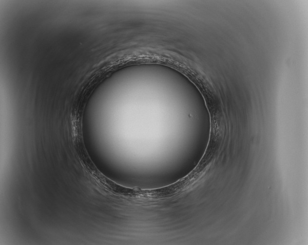X0000115281490200911061317