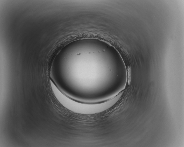 X0000115281491200911061317