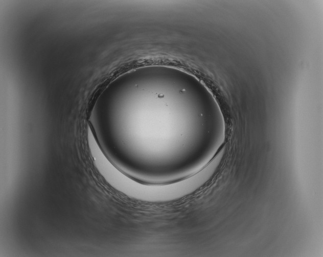 X0000115281493200911061317