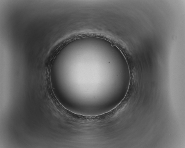 X0000115281494200911061317