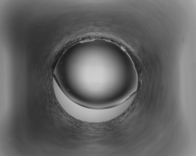 X0000115281495200911061317