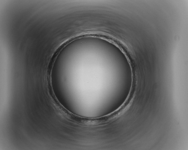 X0000115281497200911061317