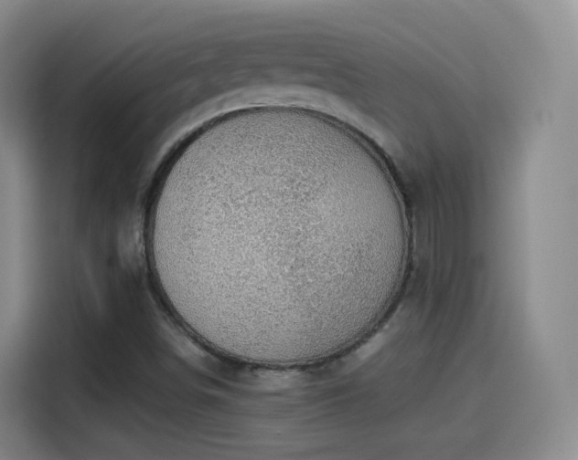 X0000115281498200911061317