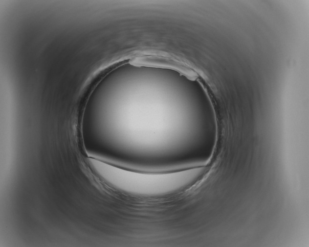X0000115281499200911061317