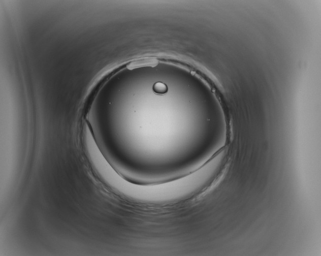 X0000115281501200911061317