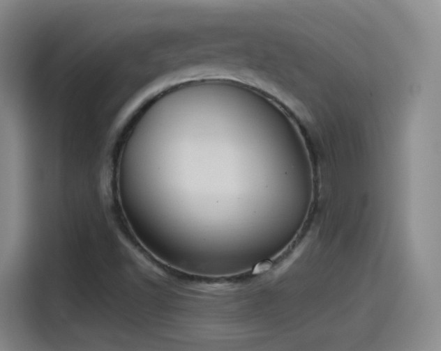 X0000115281502200911061317