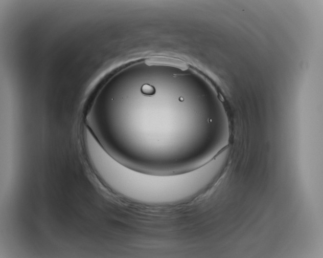 X0000115281503200911061317