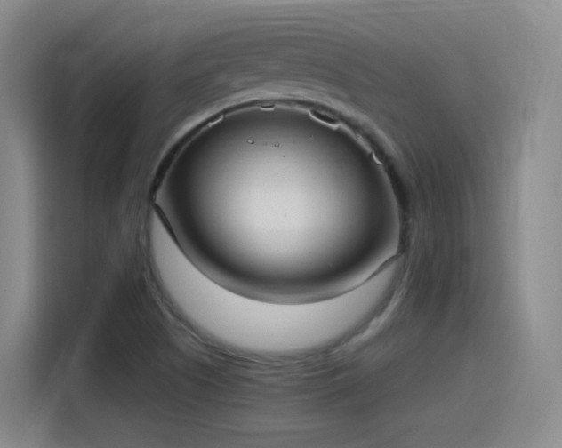 X0000115281505200911061317