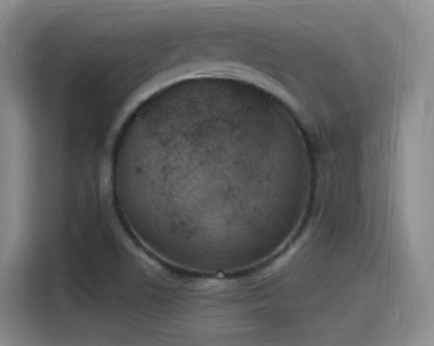 X0000115281506200911061317