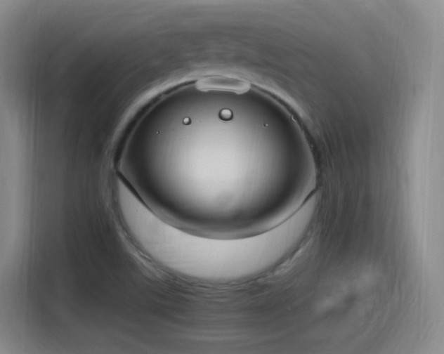X0000115281507200911061317